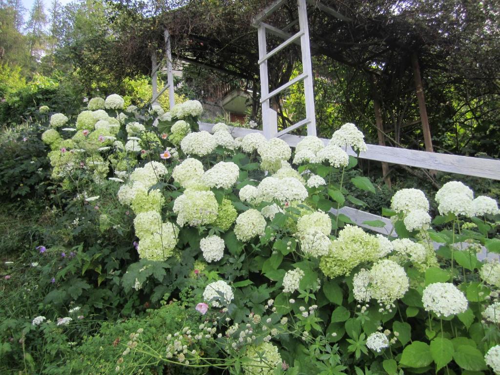 필라 Il Giardino Dell'Artemisia 빌라 외부 사진